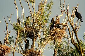 Apartments Vrata Baranje