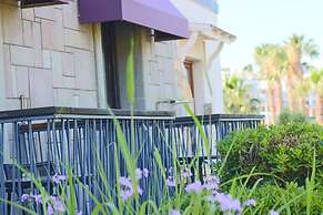 Costa Farilya Special Class Hotel Bodrum - Special Class