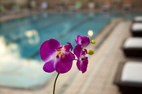 Herbert Samuel Reef Eilat