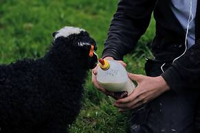 Hraunsnef Countryhotel