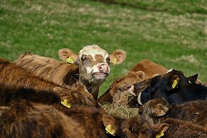 Hraunsnef Countryhotel