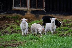 Hraunsnef Countryhotel