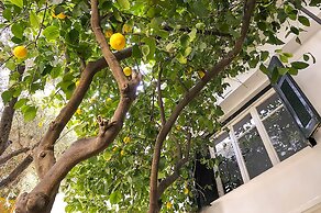 Athens Green Apartments