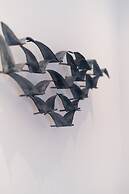 Aktaion Beach Boutique Hotel & Spa