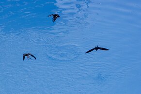 Aktaion Beach Boutique Hotel & Spa