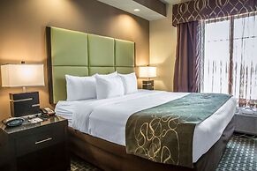 Comfort Suites New Bern near Cherry Point