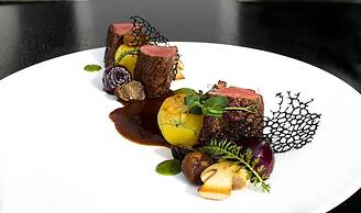 Gourmet Hotel Villa Patriot