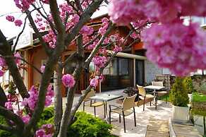 Hotel Des Grands Vins