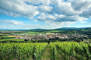 Comfort Aparthotel Mutzig Portes d'Alsace