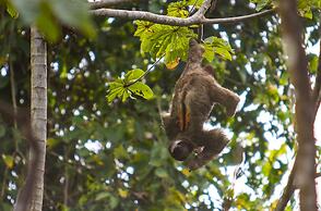 Red Frog Beach Island Resort