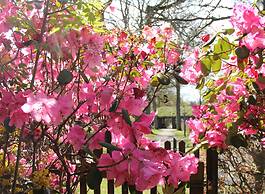 Koldinghallerne - Sportel