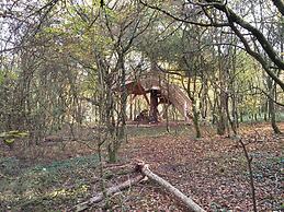 Mont-des-Pins Dennenheuvel