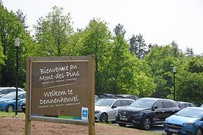 Mont-des-Pins Dennenheuvel