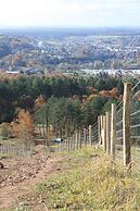 Mont-des-Pins Dennenheuvel