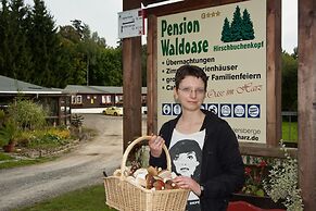 Pension Waldoase Hirschbüchenkopf