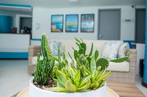 Bahia Sol E Mar Hotel