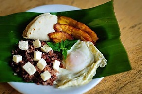 Mansión de Chocolate