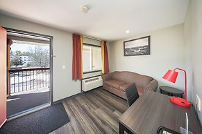 Super 8 by Wyndham Kingston