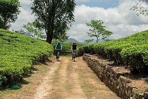 Ceylon Tea Trails - Relais and Chateaux