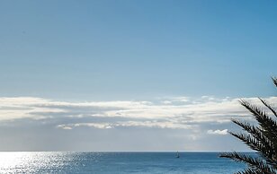 Macdonald Dona Lola Club