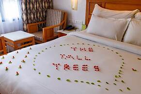 The Tall Trees Munnar