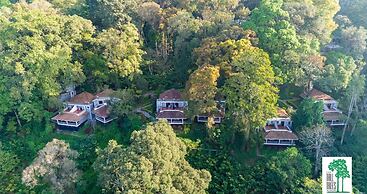 The Tall Trees Munnar
