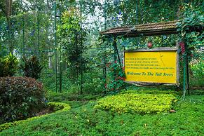The Tall Trees Munnar