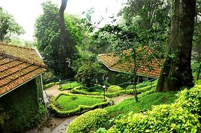 The Tall Trees Munnar