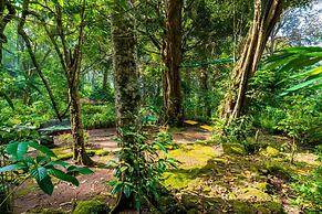 The Tall Trees Munnar