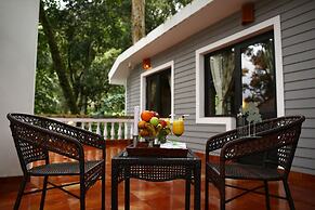 The Tall Trees Munnar