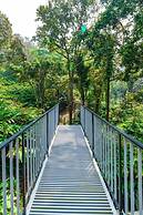 The Tall Trees Munnar