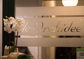 Le Orchidee