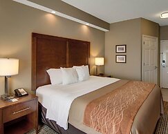 Comfort Suites Leesville near Fort Johnson