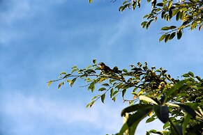 Ayara Kamala Resort & Spa