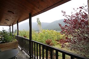 Boutique Hotel Skamnos