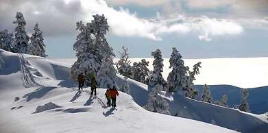 Boutique Hotel Skamnos