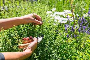 Chalet Hôtel Hermitage - Hotel Chalet de Tradition