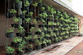 Rumah Turi Eco Hotel