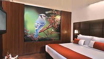 Comfort Inn Tulip Heights