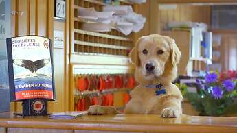 Hotel La Roche Pleureuse