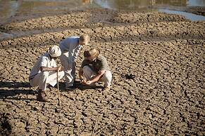 Karongwe Portfolio - Shiduli Private Game Lodge