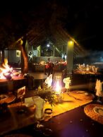 Karongwe Portfolio - Shiduli Private Game Lodge