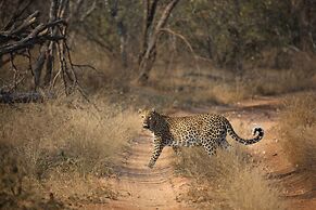 Karongwe Portfolio - Shiduli Private Game Lodge