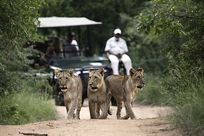 Karongwe Portfolio - Shiduli Private Game Lodge