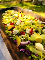 Karongwe Portfolio - Shiduli Private Game Lodge