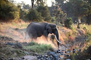 Karongwe Portfolio - Shiduli Private Game Lodge