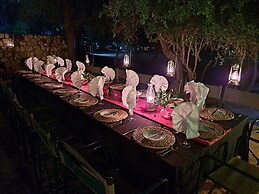 Karongwe Portfolio - Shiduli Private Game Lodge