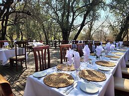 Karongwe Portfolio - Shiduli Private Game Lodge