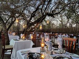 Karongwe Portfolio - Shiduli Private Game Lodge