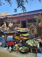 Karongwe Portfolio - Shiduli Private Game Lodge